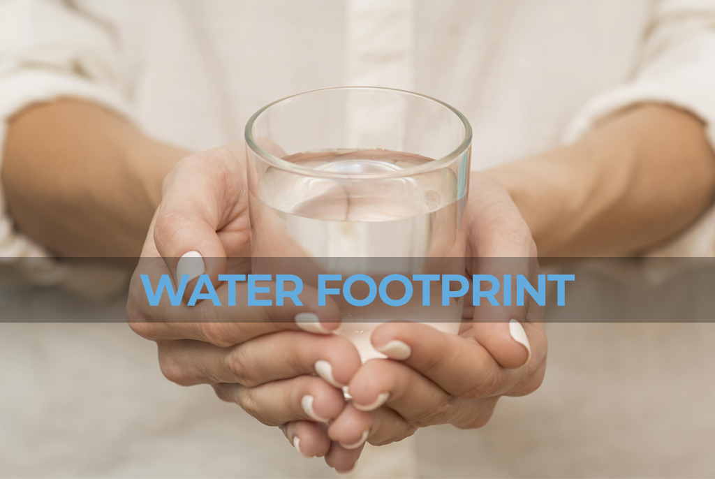 Impronta idrica - Water footprint