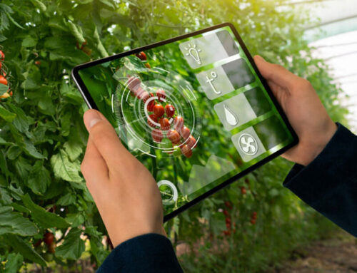 L’agricoltura dell’era digitale: Farmitoo e Convivalia